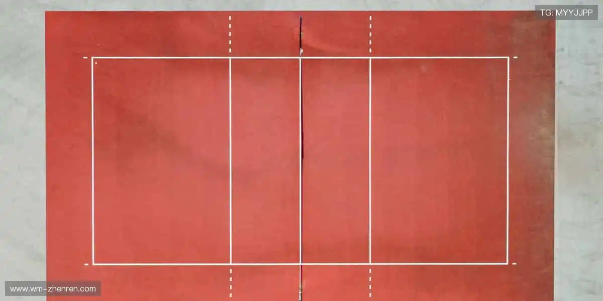 热血赛事,一触即发!🔥 你的尖叫,就是胜利的号角!